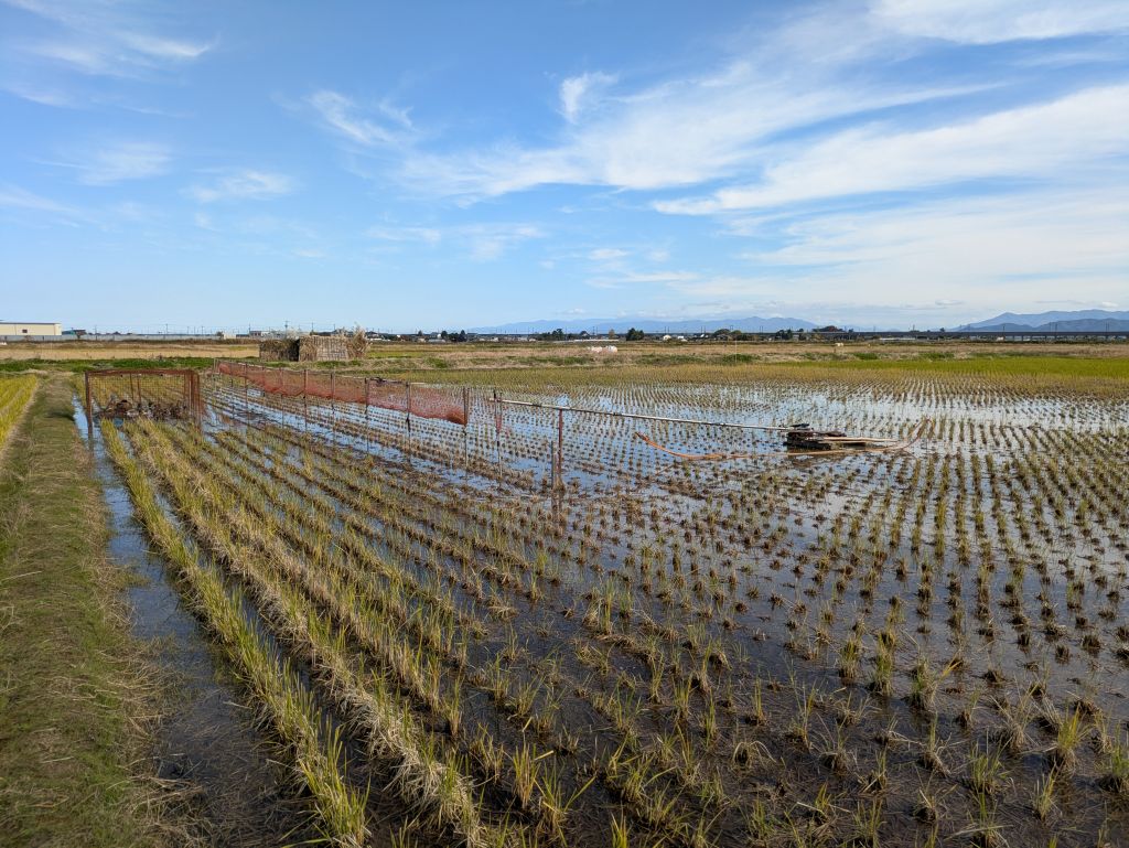 見張り小屋と無双網の設置状況