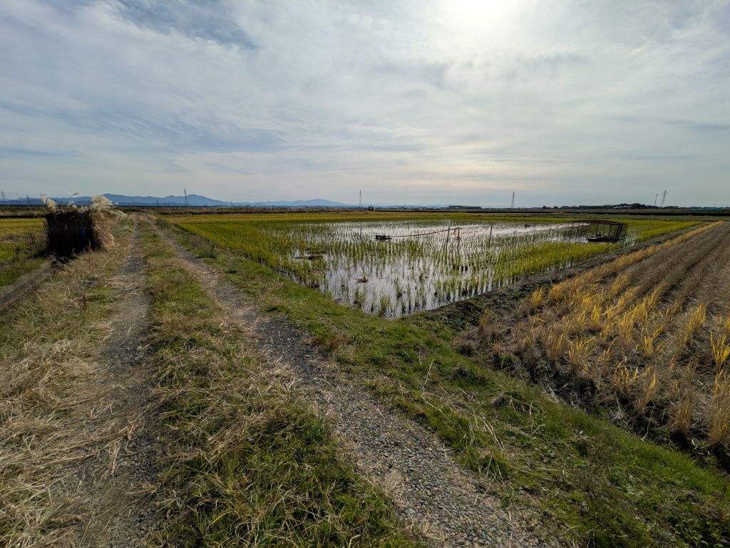 見張り小屋と無双網の設置状況